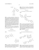 PHTHALAZINONES AND ISOQUINOLINONES AS ROCK INHIBITORS diagram and image