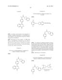 PHTHALAZINONES AND ISOQUINOLINONES AS ROCK INHIBITORS diagram and image