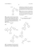 PHTHALAZINONES AND ISOQUINOLINONES AS ROCK INHIBITORS diagram and image