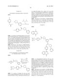 PHTHALAZINONES AND ISOQUINOLINONES AS ROCK INHIBITORS diagram and image