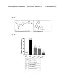 6-ALKYL-N-(PYRIDIN-2-YL)-4-ARYLOXYPICOLINAMIDE ANALOGS AS MGLUR5 NEGATIVE     ALLOSTERIC MODULATORS AND METHODS OF MAKING AND USING THE SAME diagram and image