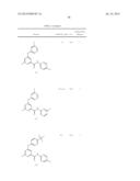 6-ALKYL-N-(PYRIDIN-2-YL)-4-ARYLOXYPICOLINAMIDE ANALOGS AS MGLUR5 NEGATIVE     ALLOSTERIC MODULATORS AND METHODS OF MAKING AND USING THE SAME diagram and image