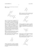 6-ALKYL-N-(PYRIDIN-2-YL)-4-ARYLOXYPICOLINAMIDE ANALOGS AS MGLUR5 NEGATIVE     ALLOSTERIC MODULATORS AND METHODS OF MAKING AND USING THE SAME diagram and image