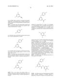 6-ALKYL-N-(PYRIDIN-2-YL)-4-ARYLOXYPICOLINAMIDE ANALOGS AS MGLUR5 NEGATIVE     ALLOSTERIC MODULATORS AND METHODS OF MAKING AND USING THE SAME diagram and image