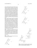 6-ALKYL-N-(PYRIDIN-2-YL)-4-ARYLOXYPICOLINAMIDE ANALOGS AS MGLUR5 NEGATIVE     ALLOSTERIC MODULATORS AND METHODS OF MAKING AND USING THE SAME diagram and image