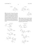 PREPARATION AND USE OF COMPOUNDS AS PROTEASE  INHIBITORS diagram and image