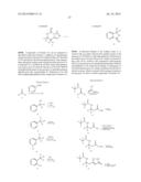 PREPARATION AND USE OF COMPOUNDS AS PROTEASE  INHIBITORS diagram and image