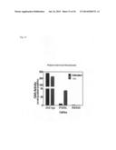 METHOD TO PREDICT RESPONSE TO PHARMACOLOGICAL CHAPERONE TREATMENT OF     DISEASES diagram and image