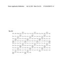 METHOD TO PREDICT RESPONSE TO PHARMACOLOGICAL CHAPERONE TREATMENT OF     DISEASES diagram and image