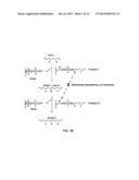 ROTATIONALLY SEQUESTERED TRANSLATORS diagram and image