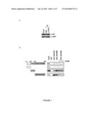 ANDROGEN RECEPTOR-DEPENDENT GENE EXPRESSION CONTROL diagram and image