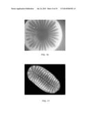 FOAM-BASED AND POWDER-BASED ADSORBENTS HAVING HIGH ADSORPTION CAPACITIES     FOR RECOVERING DISSOLVED METALS AND METHODS THEREOF diagram and image