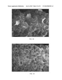 FOAM-BASED AND POWDER-BASED ADSORBENTS HAVING HIGH ADSORPTION CAPACITIES     FOR RECOVERING DISSOLVED METALS AND METHODS THEREOF diagram and image