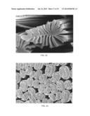 FOAM-BASED AND POWDER-BASED ADSORBENTS HAVING HIGH ADSORPTION CAPACITIES     FOR RECOVERING DISSOLVED METALS AND METHODS THEREOF diagram and image