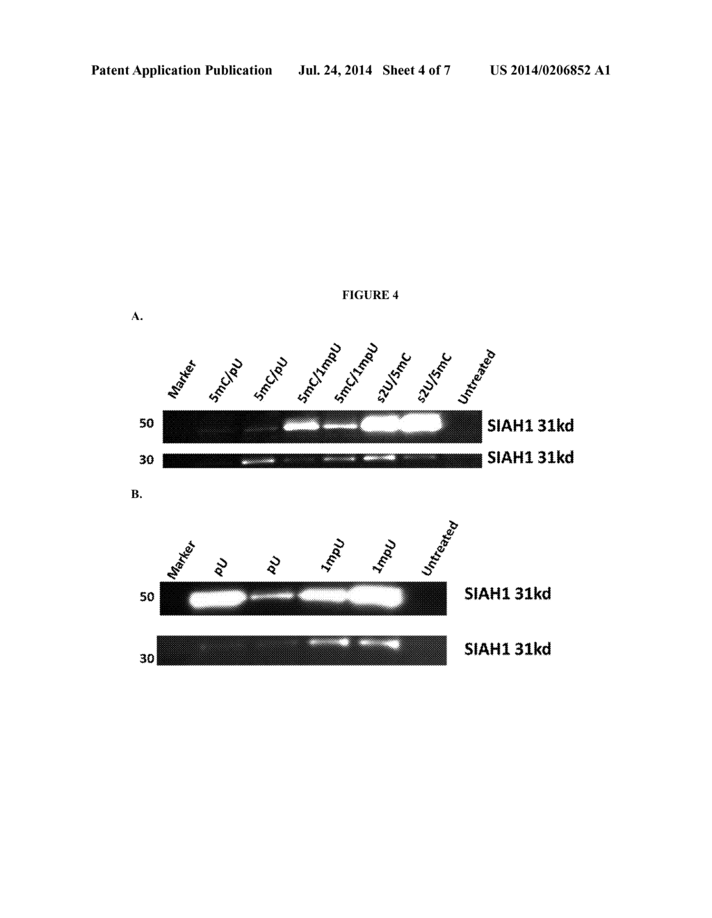 SIGNAL-SENSOR POLYNUCLEOTIDES - diagram, schematic, and image 05