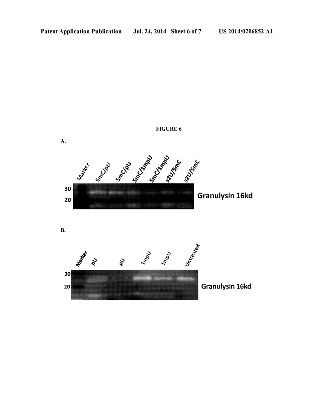 SIGNAL-SENSOR POLYNUCLEOTIDES - diagram, schematic, and image 07