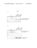 SIGNAL-SENSOR POLYNUCLEOTIDES diagram and image