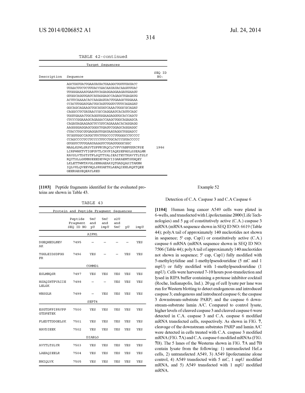 SIGNAL-SENSOR POLYNUCLEOTIDES - diagram, schematic, and image 322