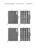 HIERARCHICAL MULTISCALE FIBROUS SCAFFOLD VIA 3-D ELECTROSTATIC DEPOSITION     PROTOTYPING AND CONVENTIONAL ELECTROSPINNING diagram and image