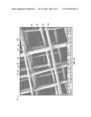 HIERARCHICAL MULTISCALE FIBROUS SCAFFOLD VIA 3-D ELECTROSTATIC DEPOSITION     PROTOTYPING AND CONVENTIONAL ELECTROSPINNING diagram and image