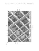 HIERARCHICAL MULTISCALE FIBROUS SCAFFOLD VIA 3-D ELECTROSTATIC DEPOSITION     PROTOTYPING AND CONVENTIONAL ELECTROSPINNING diagram and image