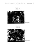 Positive Electrode Active Material for Non-Aqueous Secondary Battery and     Manufacturing Method Thereof, as well as Non-Aqueous Secondary Battery     Using Positive Electrode Active Material diagram and image