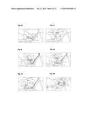 Bicycle, Modifiable for Uphill, Downhill and/or Trail Conditions diagram and image