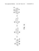 COMPONENT FOR FIXING CURVATURE OF FLEXIBLE DEVICE AND DEFORMATION AND     FIXING CURVATURE METHOD diagram and image