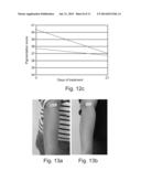 METHODS OF PRODUCING LIGNIN PEROXIDASE AND ITS USE IN SKIN AND HAIR     LIGHTENING diagram and image