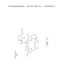 METHODS OF TREATMENT USING ANTI-ERBB ANTIBODY-MAYTANSINOID CONJUGATES diagram and image