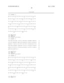 HUMAN IL-23 ANTIGEN BINDING PROTEINS diagram and image