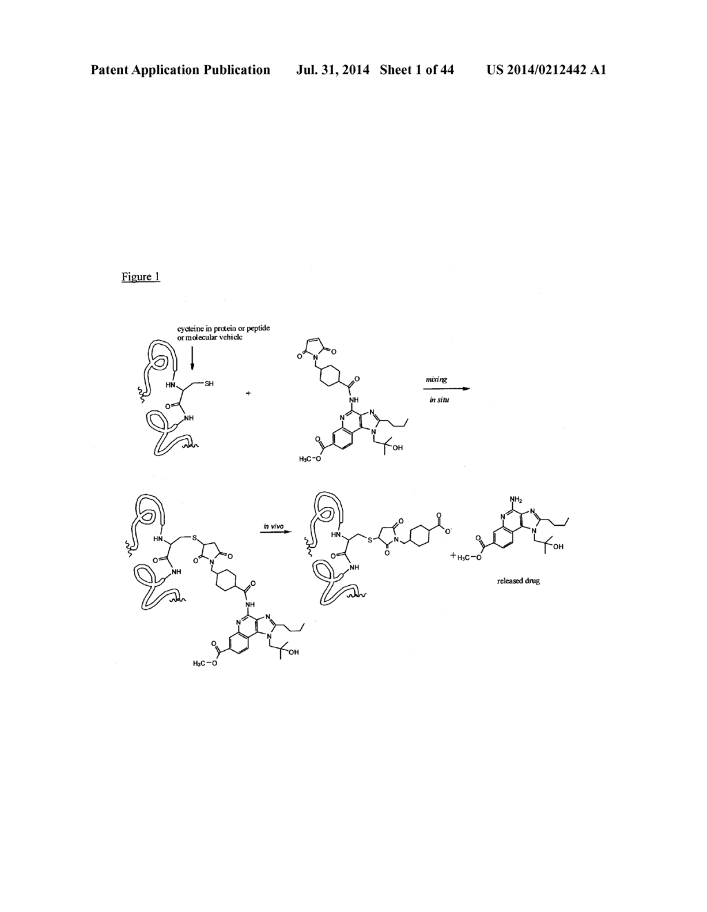 IMMUNOMODULATORS AND IMMUNOMODULATOR CONJUGATES - diagram, schematic, and image 02