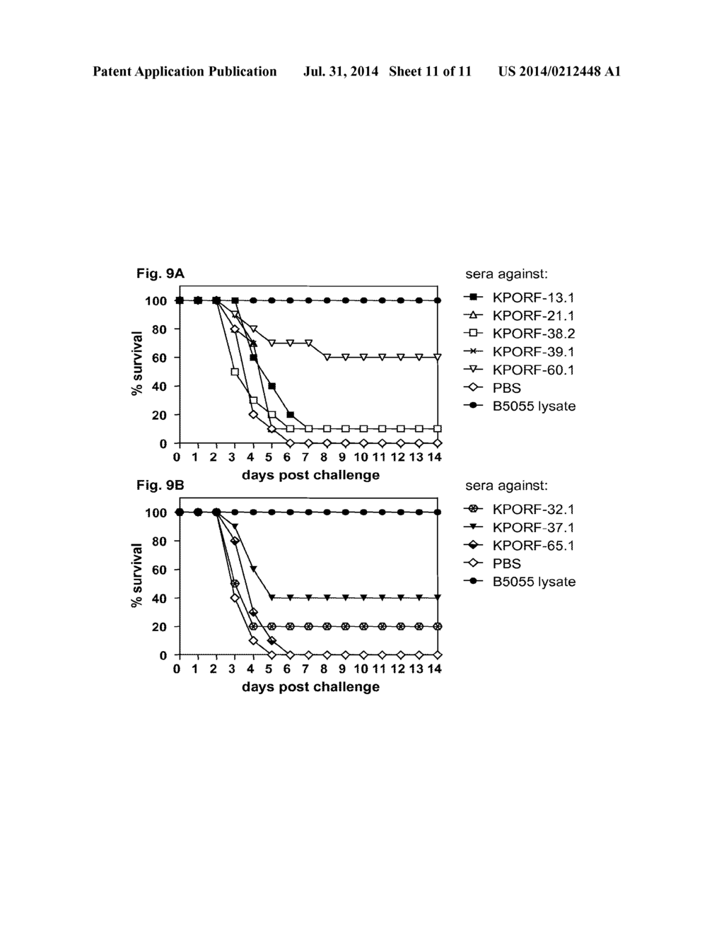 KLEBSIELLA  ANTIGENS - diagram, schematic, and image 12