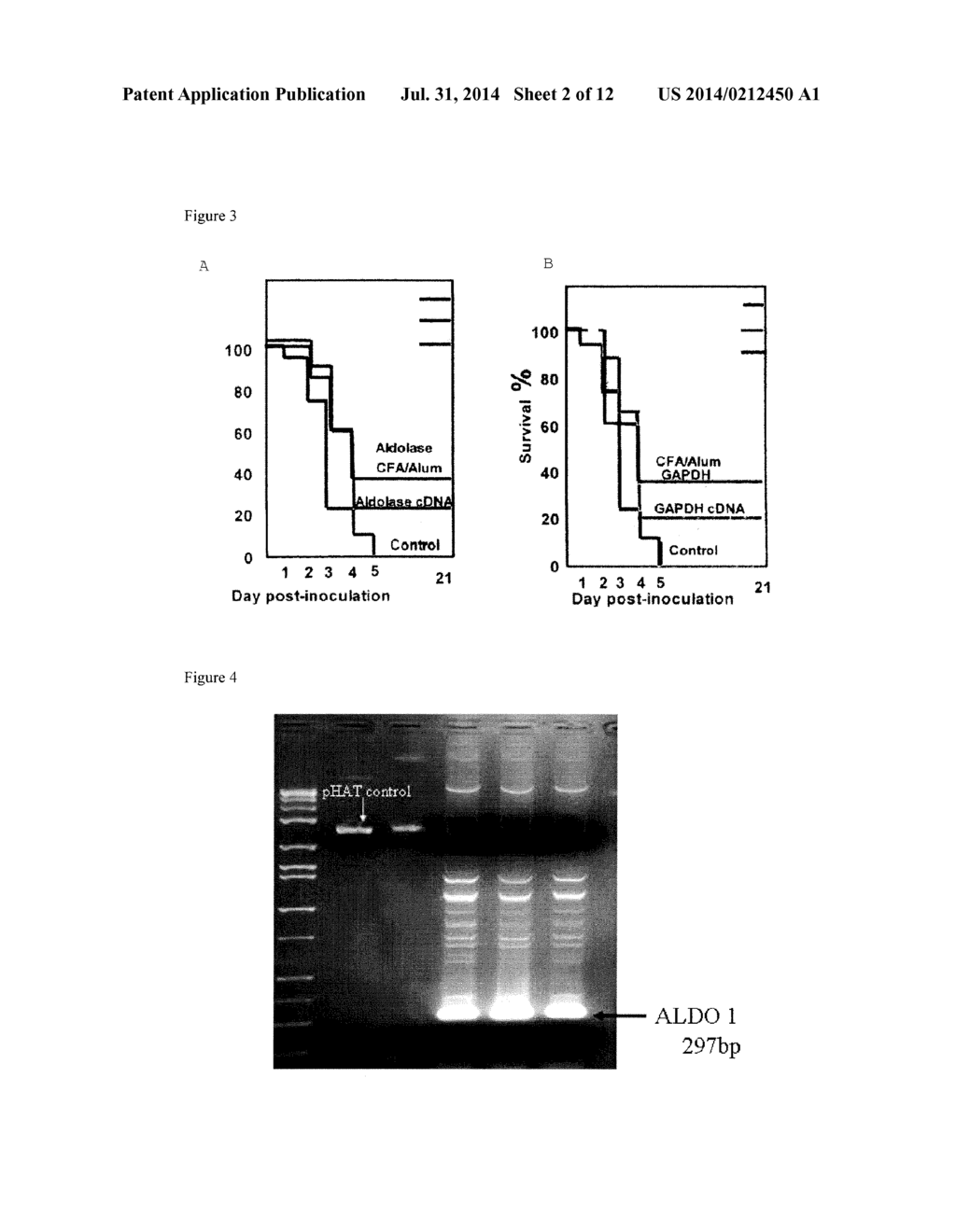 PROTEIN-BASED STREPTOCOCCUS PNEUMONIAE VACCINES - diagram, schematic, and image 03