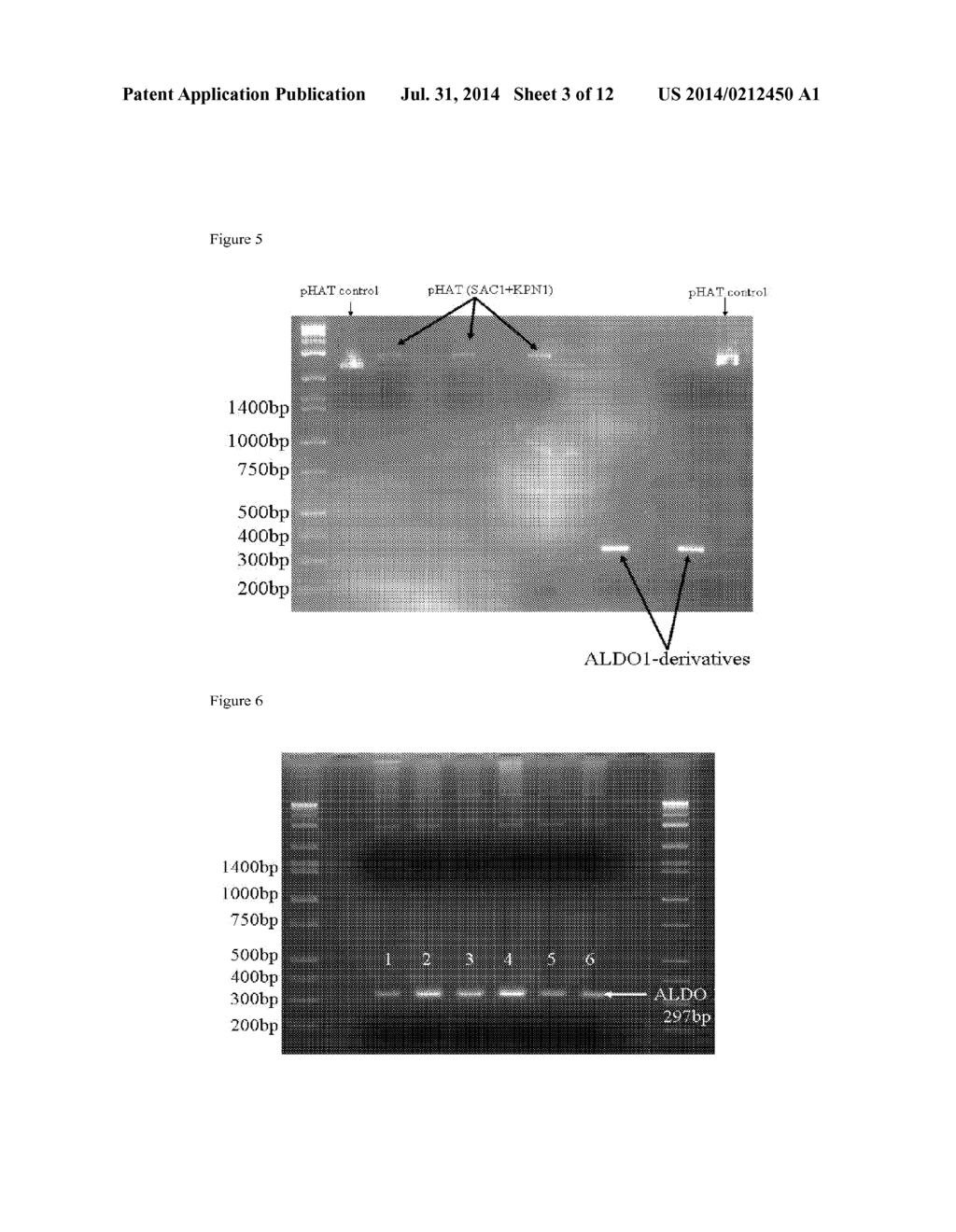 PROTEIN-BASED STREPTOCOCCUS PNEUMONIAE VACCINES - diagram, schematic, and image 04