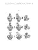 NOVEL HIV-1 ENVELOPE GLYCOPROTEIN diagram and image