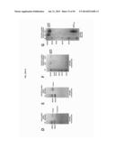 NOVEL HIV-1 ENVELOPE GLYCOPROTEIN diagram and image