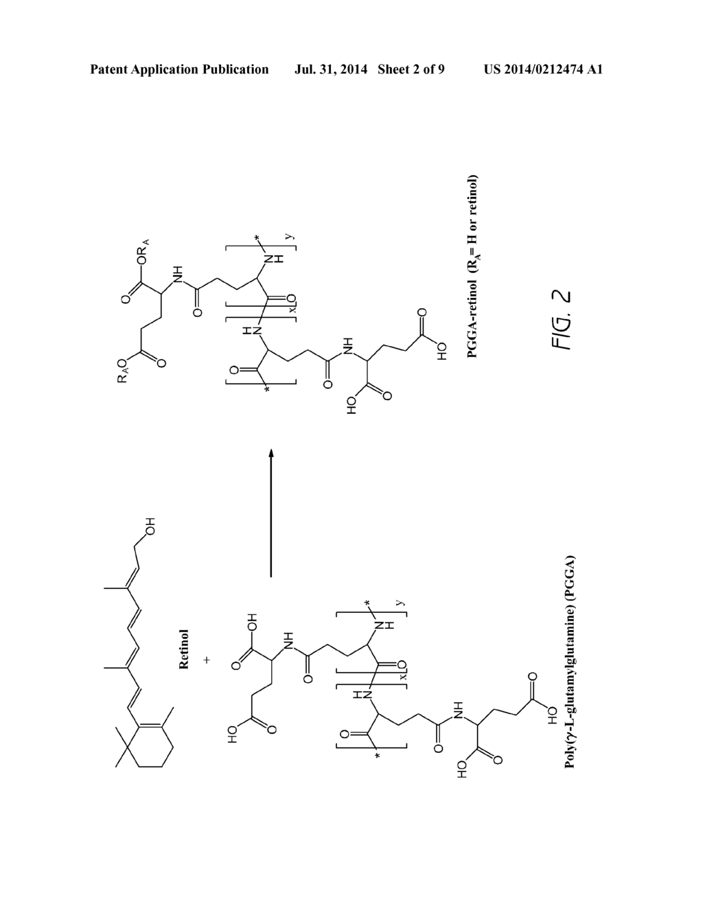 DRUG CARRIERS - diagram, schematic, and image 03