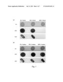 Oral Enzyme Compositions for Intestinal Delivery diagram and image