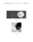 CARBON NANOTUBES CONFORMALLY COATED WITH DIAMOND NANOCRYSTALS OR SILICON     CARBIDE, METHODS OF MAKING THE SAME AND METHODS OF THEIR USE diagram and image