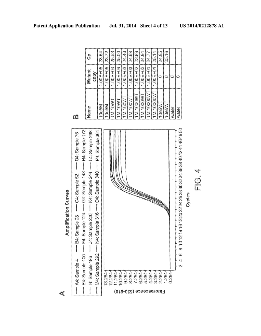 Mutation Detection Assay - diagram, schematic, and image 05