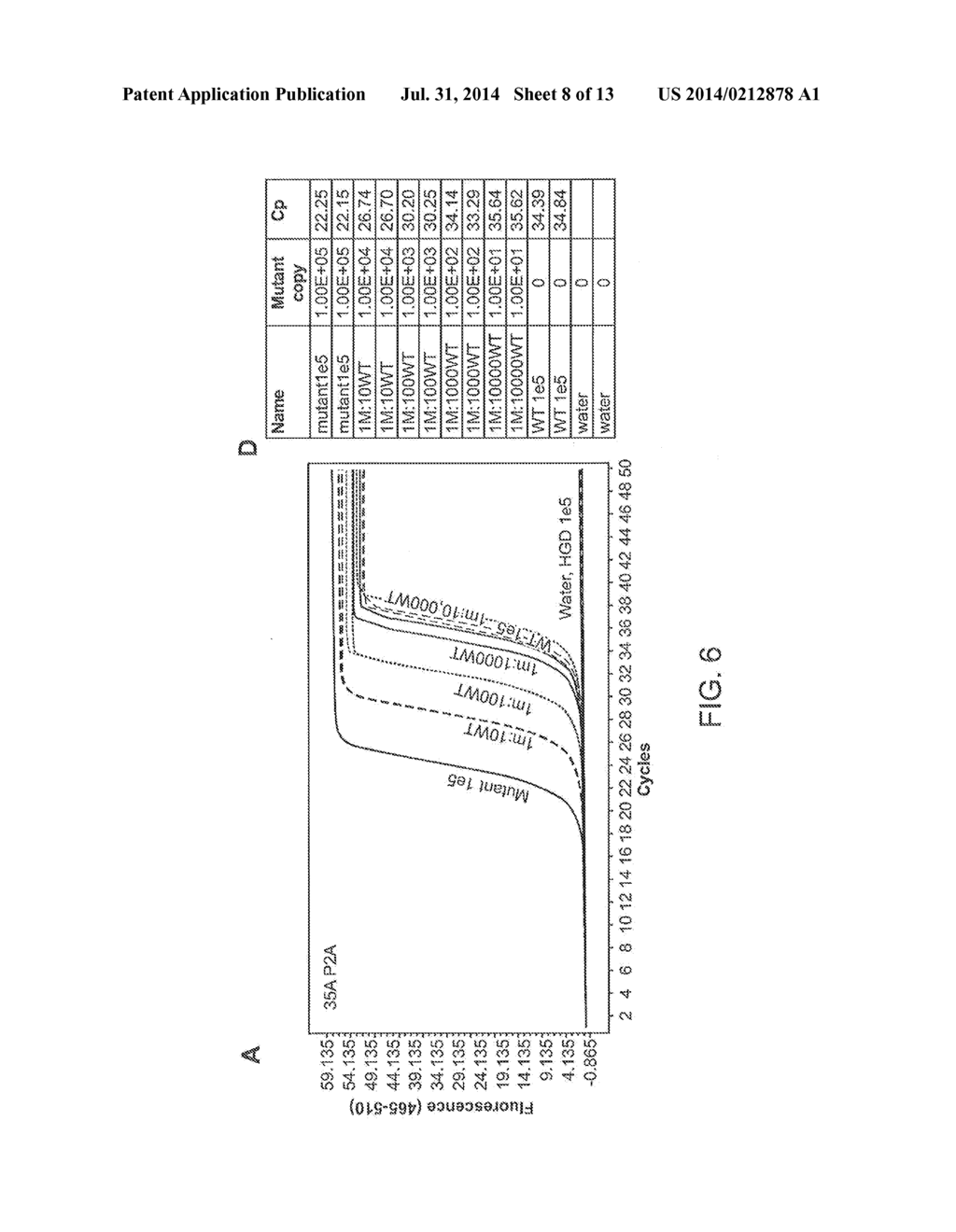 Mutation Detection Assay - diagram, schematic, and image 09