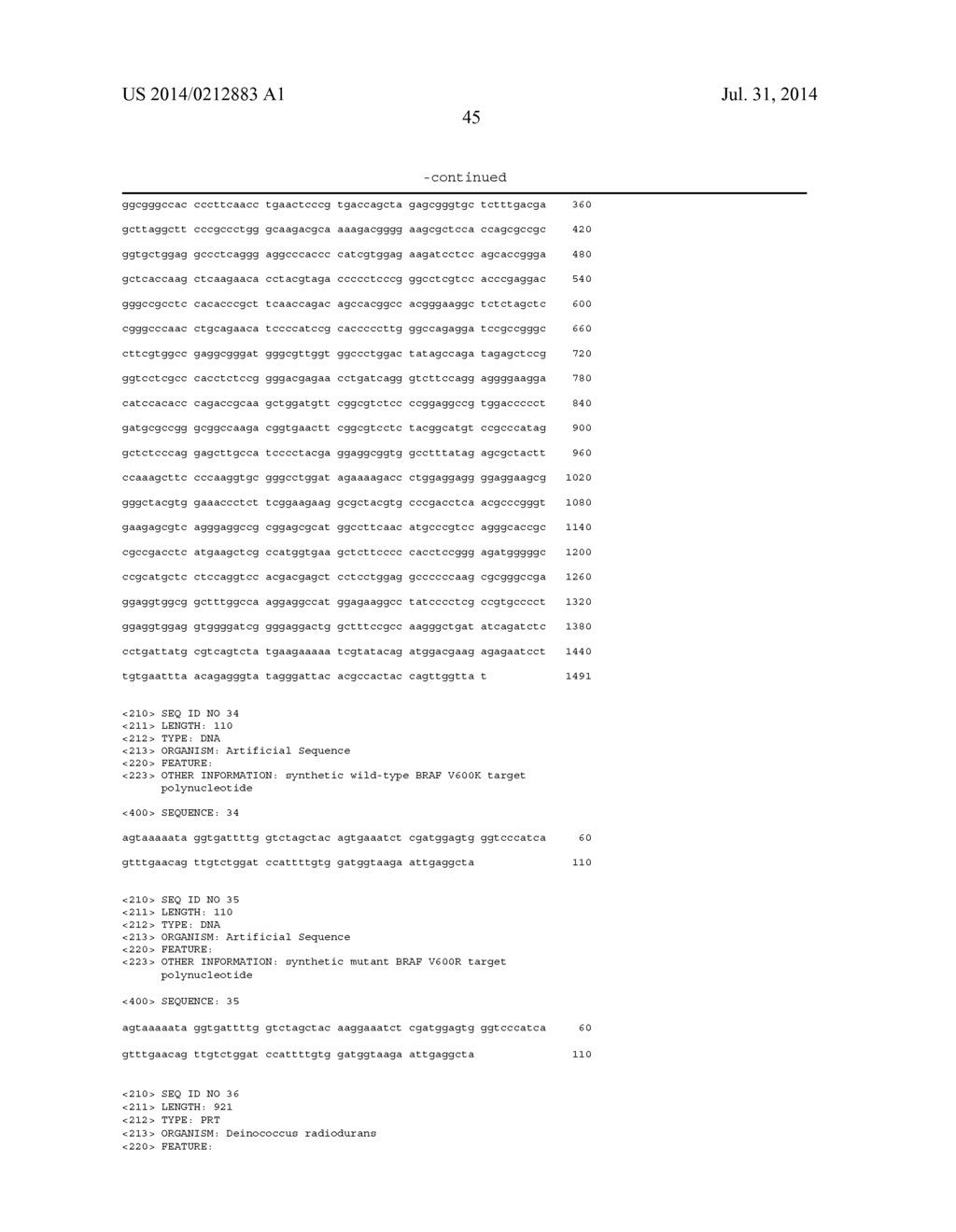 DNA POLYMERASES WITH INCREASED 3'-MISMATCH DISCRIMINATION - diagram, schematic, and image 48