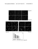 L-SERINE COMPOSITIONS, METHODS AND USES FOR TREATING NEURODEGENERATIVE     DISEASES AND DISORDERS diagram and image