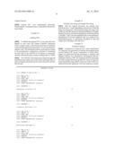 Fetal Pulmonary Cells and Uses Thereof diagram and image