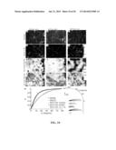 Monolayer Stress Microscopy diagram and image