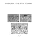 Monolayer Stress Microscopy diagram and image