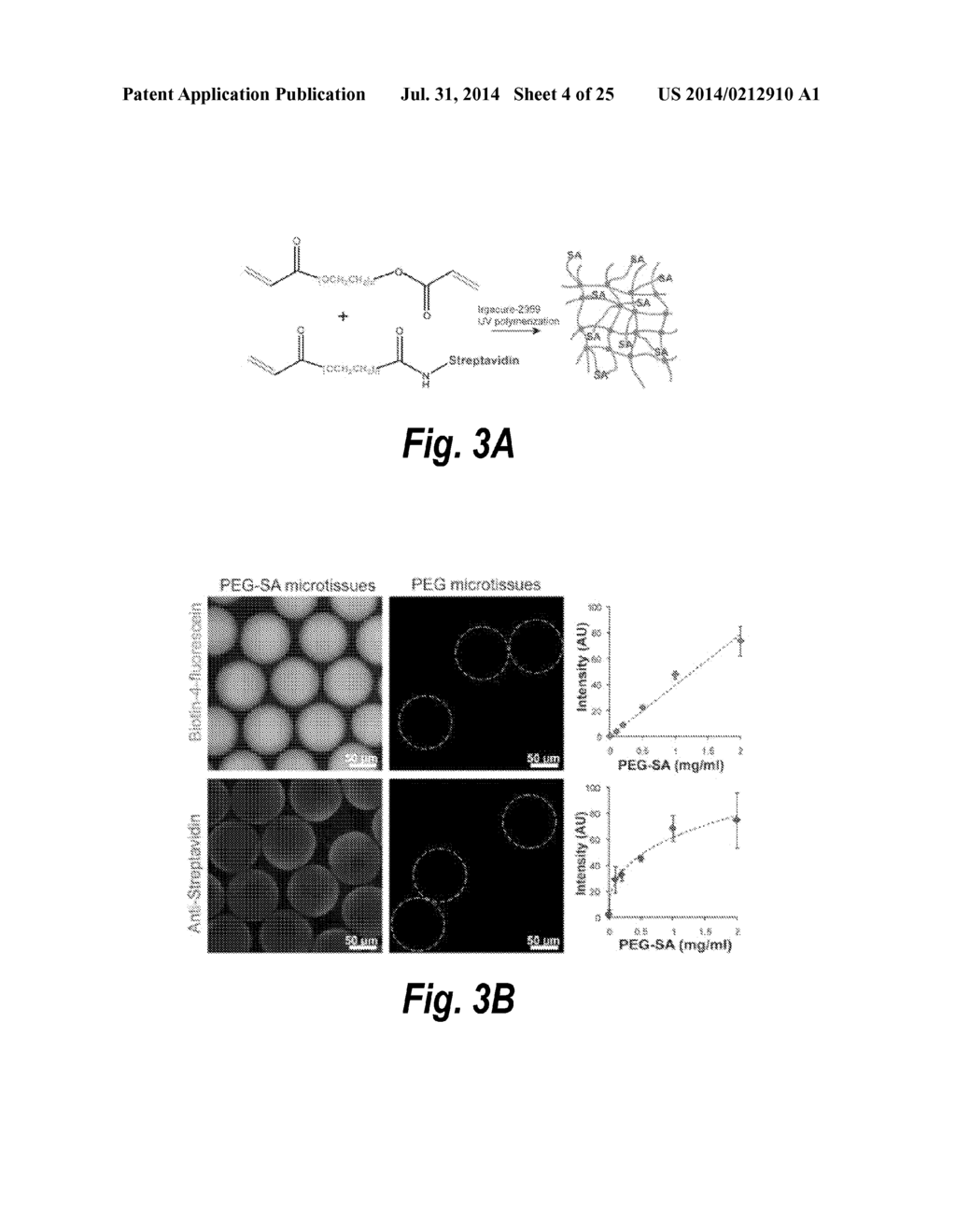 MICROGELS AND MICROTISSUES FOR USE IN TISSUE ENGINEERING - diagram, schematic, and image 05