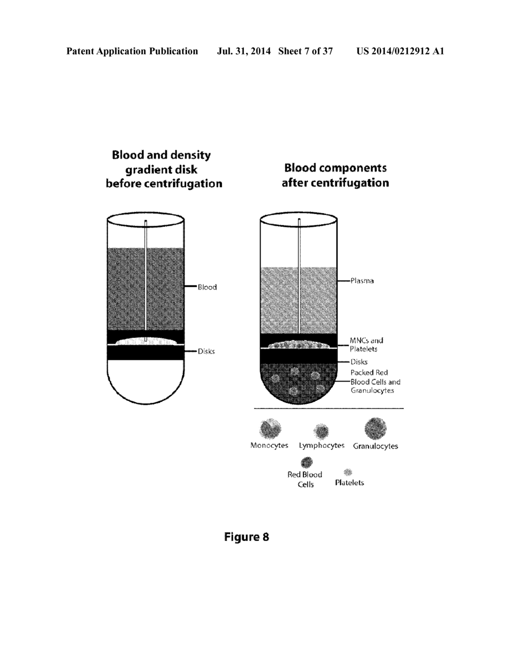 Purified Cell Population Isolated from Whole Blood - diagram, schematic, and image 08