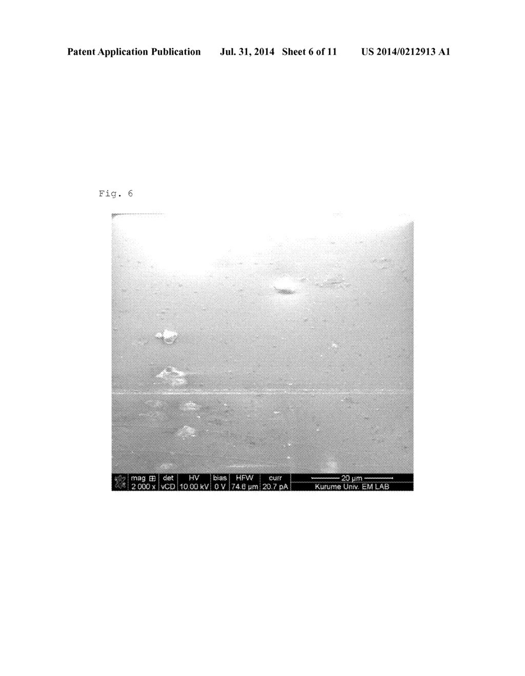 EMBEDDING RESIN COMPOSITION FOR ELECTRON MICROSCOPE, AND METHOD FOR     OBSERVING SAMPLE ON ELECTRON MICROSCOPE USING SAID COMPOSITION - diagram, schematic, and image 07